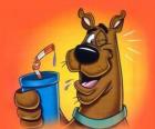 Scooby Doo con una bebida