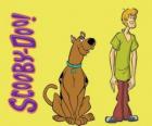 Scooby-Doo y Shaggy, dos amigos