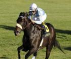 Caballo y jockey en una carrera de caballos en el hipódromo