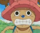Tony Tony Chopper es un médico experto que se transforma en una criatura antropomórfica