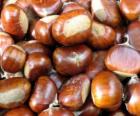 La castaña, el fruto del castaño