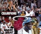 Miami Heat Campeón 2012 NBA