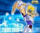 Hyoga del Cisne