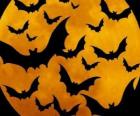 Murciélagos para la celebración del Halloween