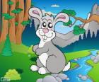 Dibujo de conejo