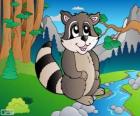 Dibujo de Mapache
