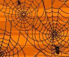 Arañas de Halloween