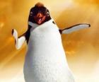 Ramon, el pingüino líder del club Los Amigos