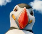 El Poderoso Sven, un frailecillo atlántico que puede volar
