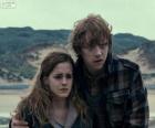 Hermione Granger y Ron Weasle