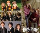 Harry Potter y sus amigos Ron y Hermione