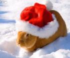 Conejo con un gorro de Papá Noel