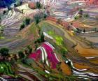 Las Terrazas de Yunnan, China