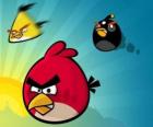 Tres de los pájaros de Angry Birds