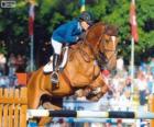 Salto ecuestre. El jinete y el caballo en un salto