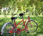 Tándem de dos ciclistas. Tipo de bicicleta especial con más asientos y más pedales