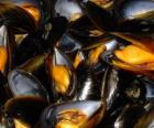 Mejillones o choros al vapor