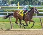 Jokey y caballo