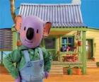 Frank es uno de los hermanos koala australianos