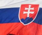 Bandera de Eslovaquia
