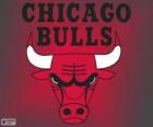 Logo de Chicago Bulls, equipo de NBA. División Central, Conferencia Este