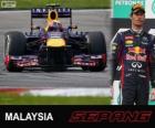 Mark Webber - Red Bull - Gran Premio de Malasia 2013, 2º Clasificado