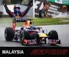 Sebastian Vettel celebra su victoria en el Gran Premio de Malasia 2013