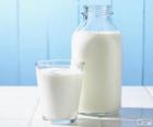 Leche