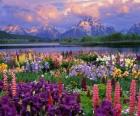 Paisaje en primavera