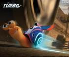 Turbo, el caracol más rápido del mundo