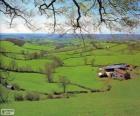 Campiñas de Devon, Gran Bretaña