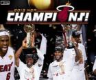 Miami Heat Campeón 2013 NBA