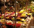 Mercado de flores, Amsterdam, Holanda