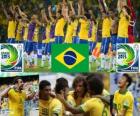 Brasil Copa FIFA Confederaciones 2013