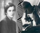 Rosalind Franklin (1920 - 1958), pionera en la investigación del ADN