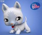Gato de Littlest PetShop