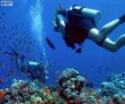 Submarinismo