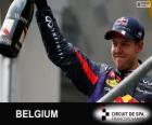 Sebastian Vettel celebra su victoria en el Gran Premio de Belgica 2013