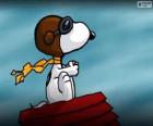 Snoopy Piloto de avion