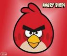 Pájaro Rojo (Red Bird)