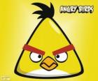 Pájaro Amarillo (Yellow Bird)
