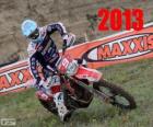 Alex Salvini campeón del mundo de enduro 2013