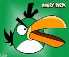 Pájaro Verde (Green Bird)