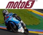 Maverick Viñales, Campeón del Mundo 2013 de Moto3