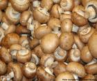 El champiñón común es cultivado extensamente para su uso en gastronomía. Es la especie mas usada para la cocina