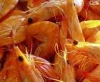 Gambas saladas