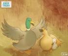 Mamá pato protege a patito feo