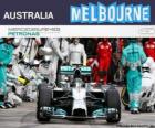 Nico Rosberg celebra su victoria en el Gran Premio de Australia 2014