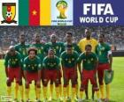 Selección de Camerún, Grupo A, Brasil 2014