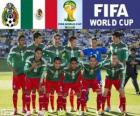 Selección de México, Grupo A, Brasil 2014